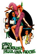 Imagen de Cinco almohadas para una noche - 1