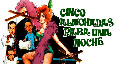 Imagen de Cinco almohadas para una noche - 2