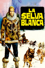Imagen de La selva blanca - 1