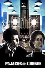 Imagen de Pájaros de ciudad - 1