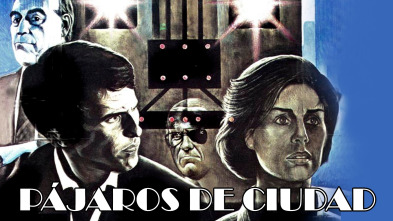 Imagen de Pájaros de ciudad - 2