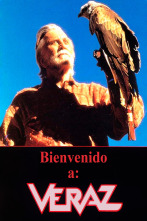 Imagen de Bienvenido a Veraz - 1