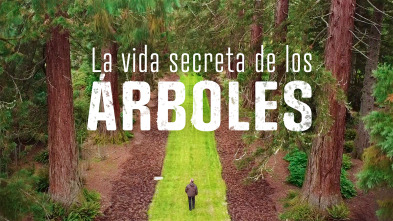Imagen de La vida secreta de los árboles  - 2