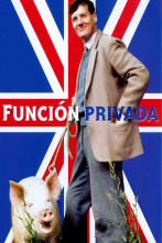 Imagen de Función privada - 1