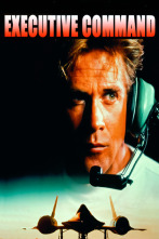 Imagen de Executive command - 1