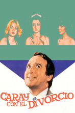 Imagen de Caray con el divorcio - 1