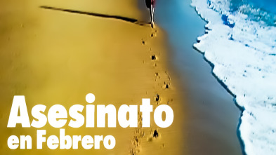 Imagen de Asesinato en febrero - 2