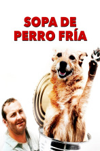 Imagen de Sopa de perro fría - 1
