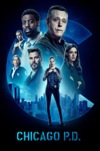 Imagen de Chicago PD (T10) - 1