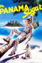 Imagen de Mr. Panama Sugar - 1