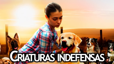 Imagen de Criaturas indefensas (The dog lover) - 2