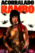 Imagen de Acorralado (Rambo) - 1