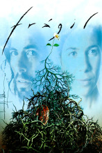 Imagen de Frágil - 1