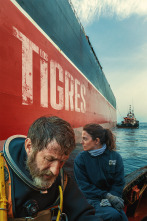 Imagen de Los Tigres - 1