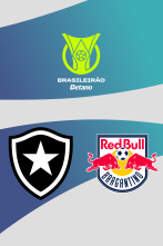Imagen de Jornada 22: Botafogo - Bragantino - 1