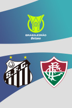 Imagen de Jornada 22: Santos - Fluminense - 1
