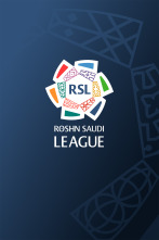 Imagen de Liga Saudí - 1