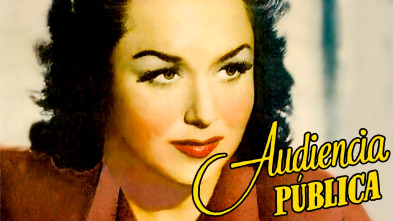 Imagen de Audiencia pública - 2