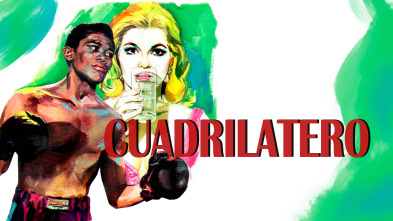 Imagen de Cuadrilátero - 2