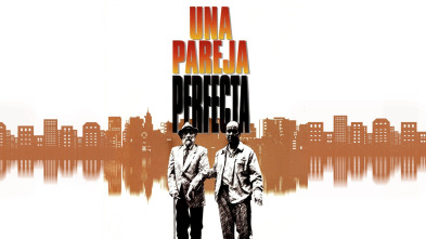 Imagen de Una pareja perfecta - 2