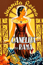 Imagen de Canelita en rama - 1