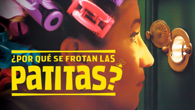 Imagen de ¿Por qué se frotan las patitas? - 2