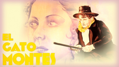 Imagen de El gato montés - 2