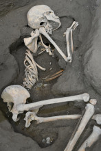 Imagen de Pompeya: nuevas excavaciones  - 10