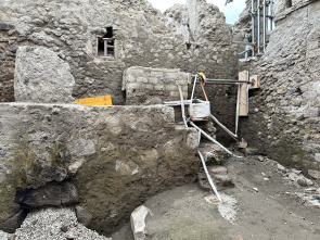 Imagen de Pompeya: nuevas excavaciones  - 11