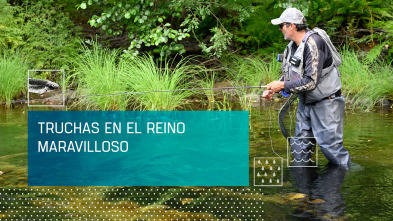 Imagen de Truchas en el reino maravilloso - 2