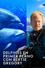 Imagen de Delfines en primer plano con Bertie Gregory  - 1