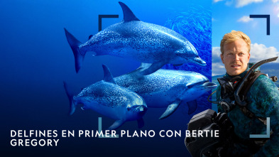 Imagen de Delfines en primer plano con Bertie Gregory  - 2