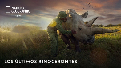 Imagen de Los últimos rinocerontes - 7