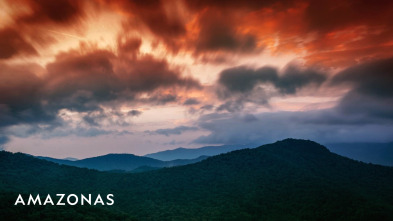 Imagen de Amazonía  - 2