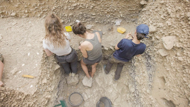 Imagen de Human: la historia del...: La desaparición de los neandertales - 1