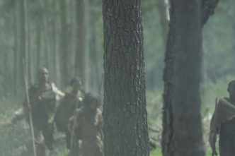 Imagen de Human: la historia del...: La desaparición de los neandertales - 6