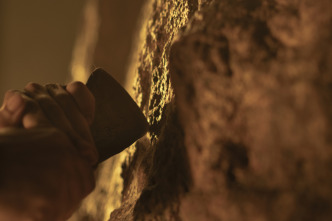 Imagen de Human: la historia del...: El desafío de establecerse - 3