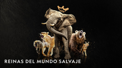Imagen de Reinas del mundo salvaje  - 2
