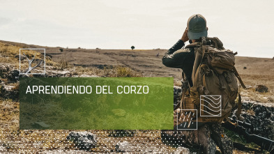 Imagen de Aprendiendo del corzo - 2