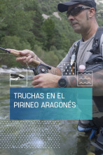 Imagen de Truchas en el Pirinéo aragonés - 1