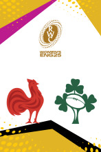 Imagen de Cuartos de Final: Francia - Irlanda - 1