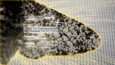 Imagen de Revisando la teoría de la evolución - 11
