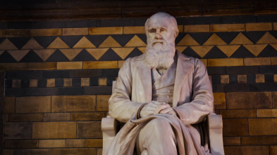 Imagen de Revisando la teoría de la evolución - 13