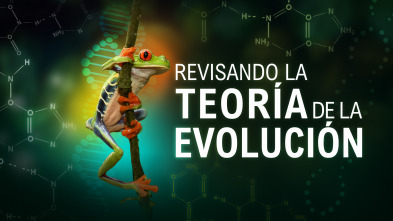 Imagen de Revisando la teoría de la evolución - 2