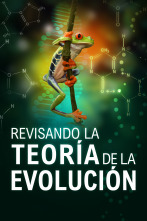 Imagen de Revisando la teoría de la evolución - 1