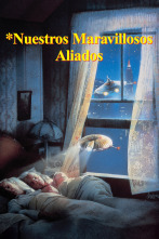 Imagen de Nuestros maravillosos aliados - 1
