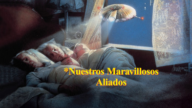 Imagen de Nuestros maravillosos aliados - 2