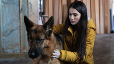 Imagen de Hudson & Rex (T1): Ep.1 La Caza - 2