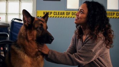 Imagen de Hudson y Rex (T1): Ep.4 Día de clase - 2