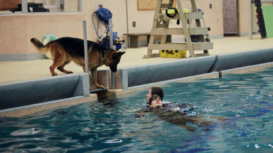 Imagen de Hudson y Rex (T1): Ep.5 El cuidador de mascotas - 3